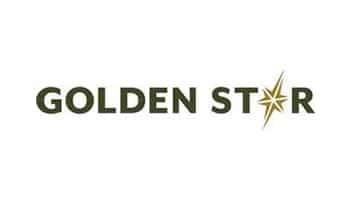 golden star logo web